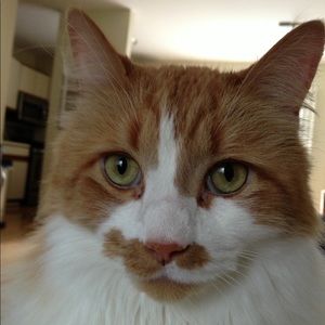 Meet your Posher, Tracy